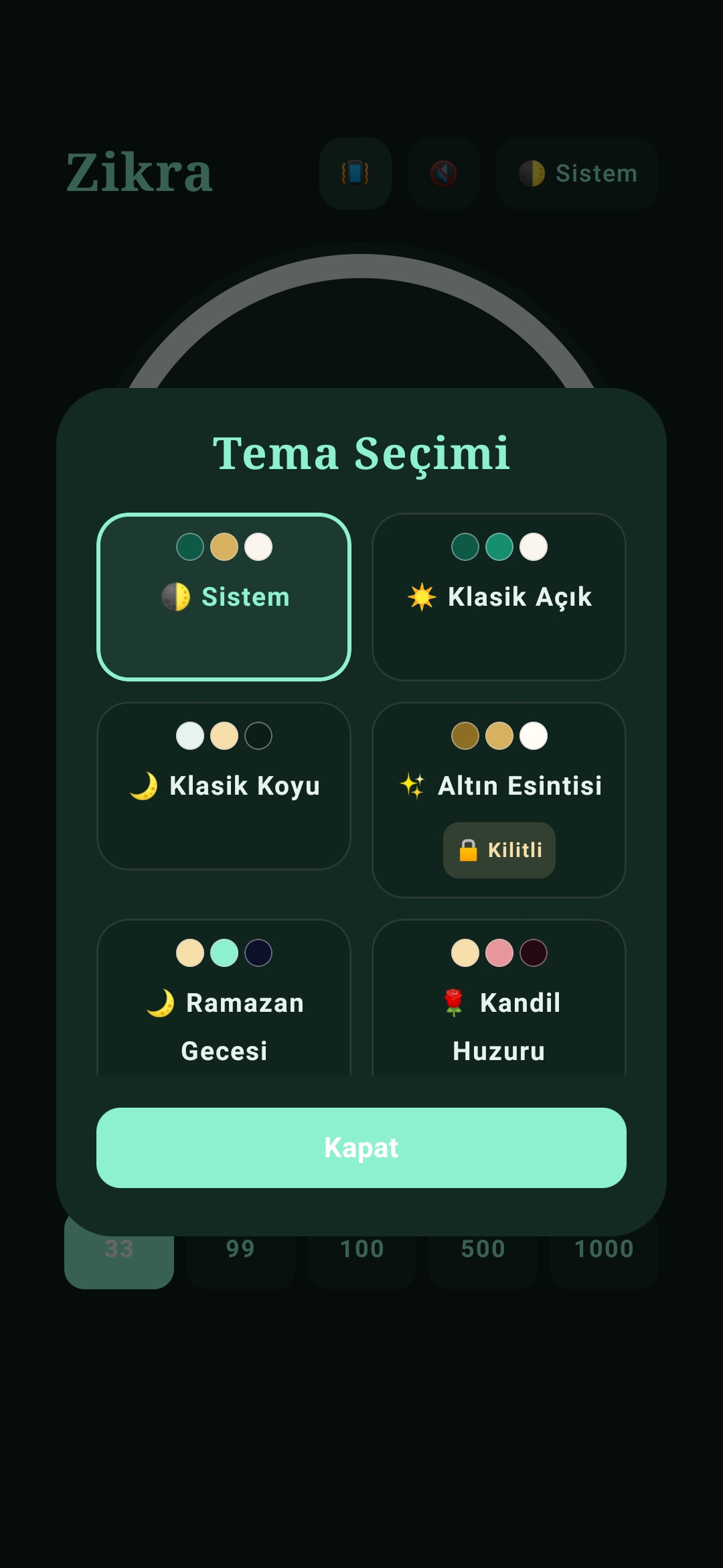 Zikra Ses Ayarları