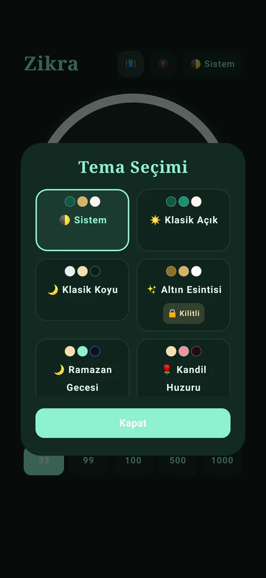 Zikra Ses Ayarları
